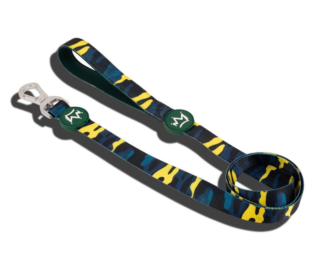 Leads