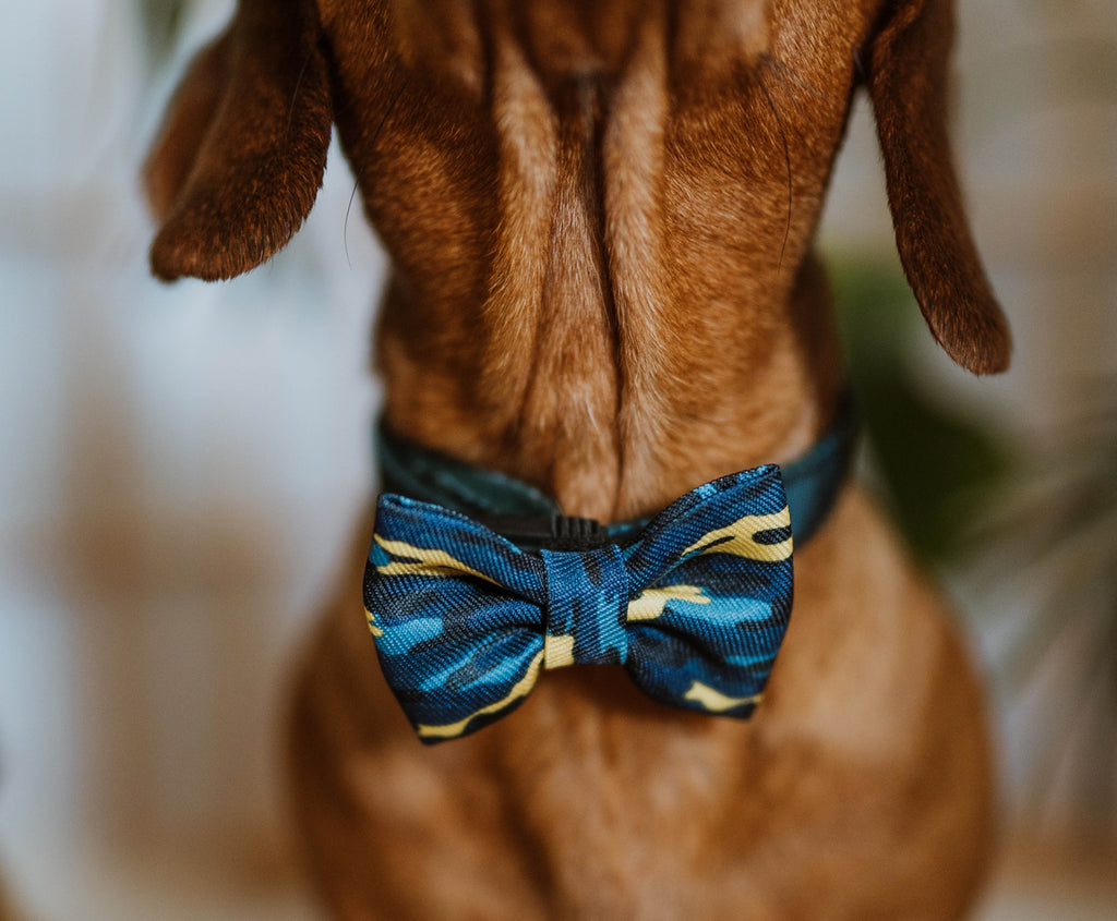 Undercover Lover - Bow Tie