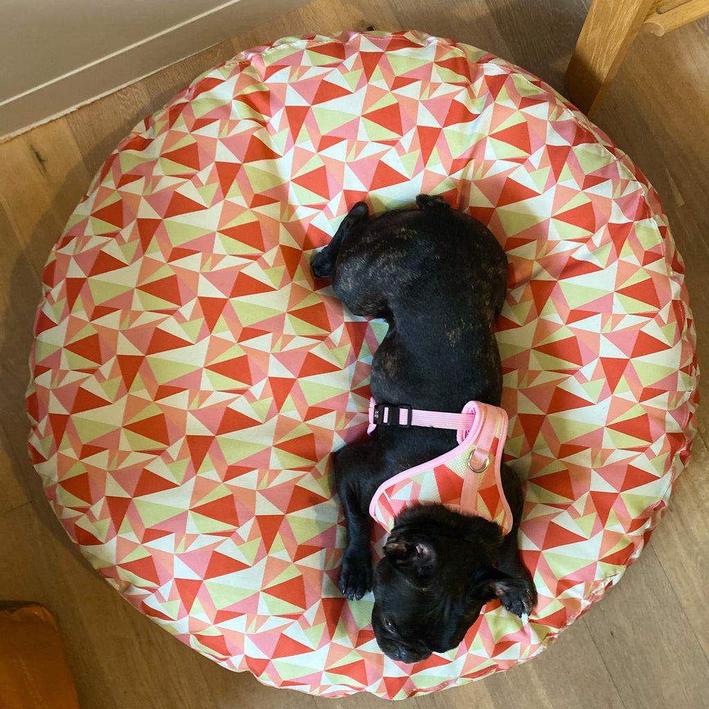 Melon Felon - Memory Foam Dog Bed