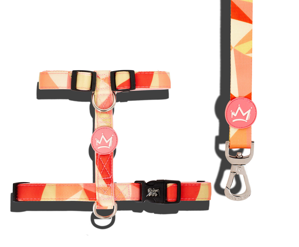 Melon Felon - H Harness Bundle