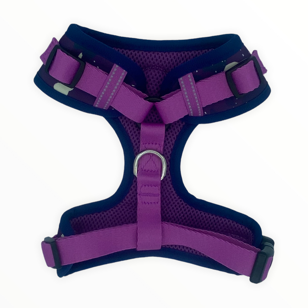 Tiny Terror - Adjustable Chest Harness