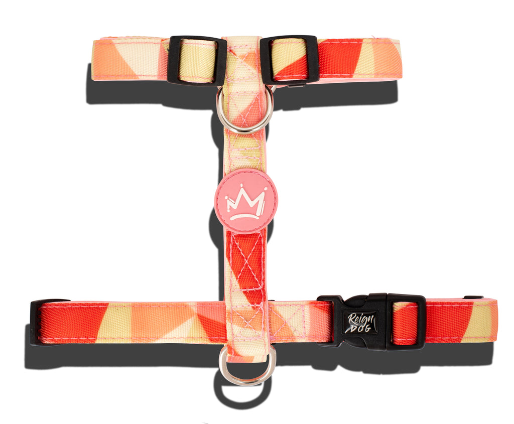 Melon Felon - Neoprene Padded H Harness