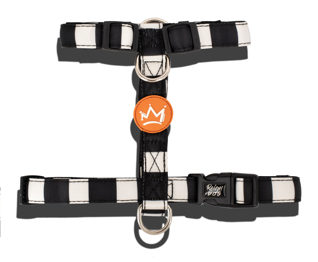 Smooth Criminal - Neoprene Padded H Harness