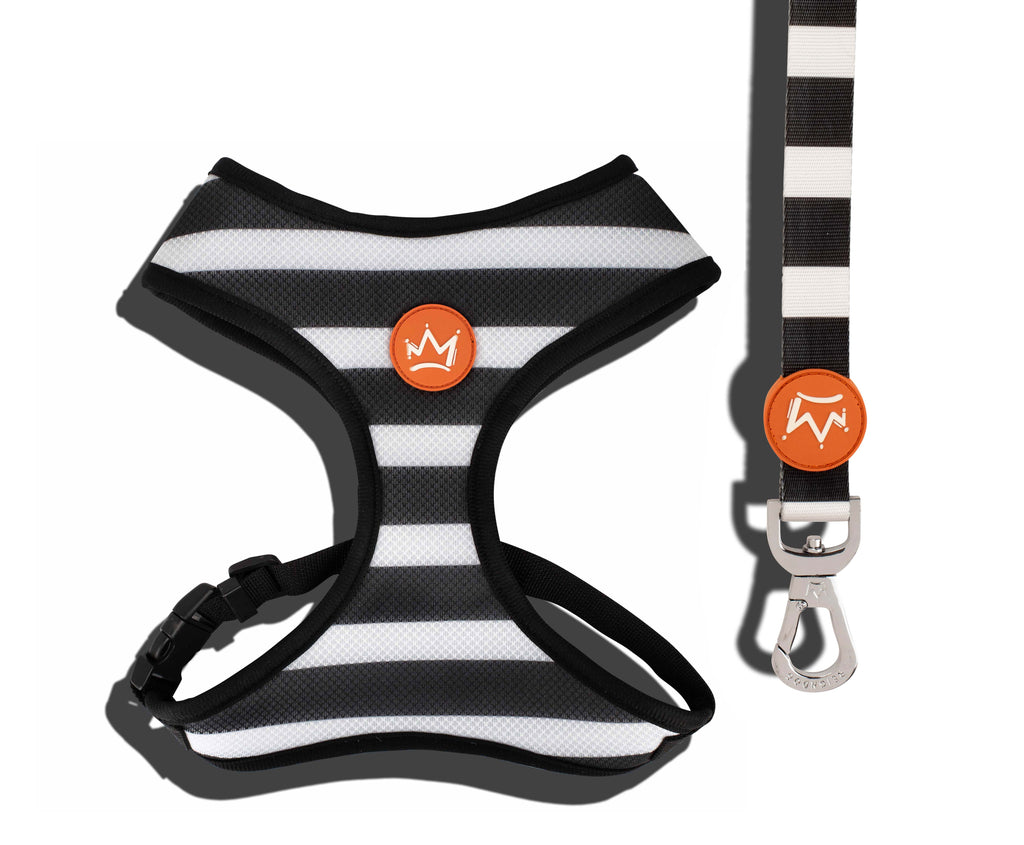 Smooth Criminal - Chest Harness Bundle