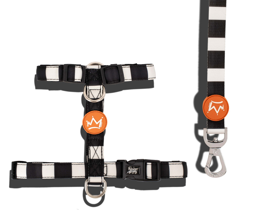 Smooth Criminal - H Harness Bundle