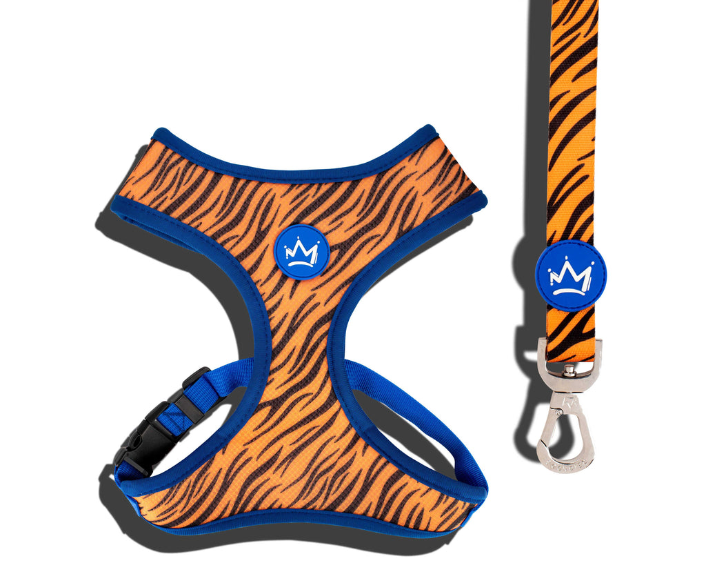 Wild Thing - Chest Harness Bundle