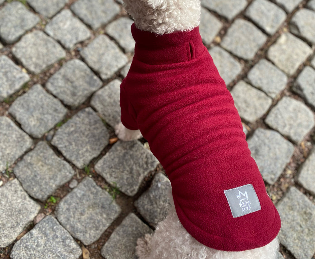 Reign Dog - Burgundy Fleece